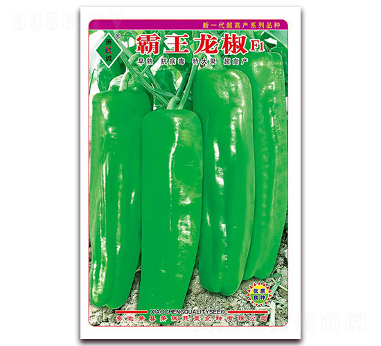 ��������-�ݽ��N��-ʒ�\