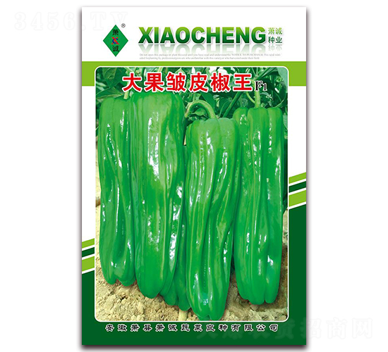 �����Ƥ����-�ݽ��N��-ʒ�\