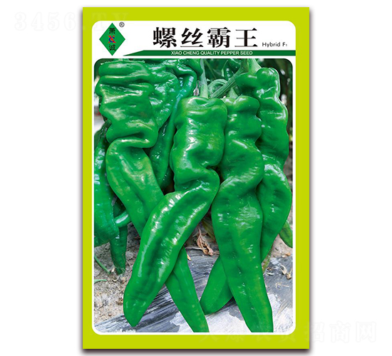 �ݽz����-�ݽ��N��-ʒ�\