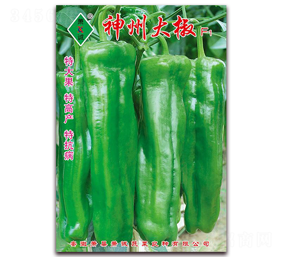 ���ݴ�-�ݽ��N��-ʒ�\