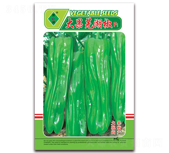 ���ʏ����-�ݽ��N��-ʒ�\