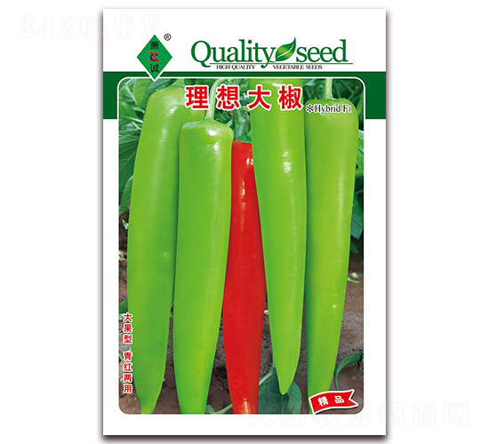 �����-�⽷�N��-ʒ�\