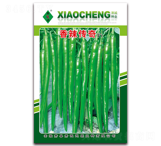 ��������-�����N��-ʒ�\(ch��ng)