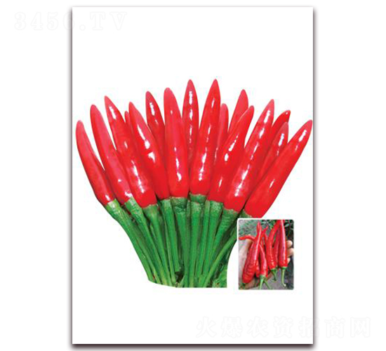 �n�����-���콷�N��-ʒ�\