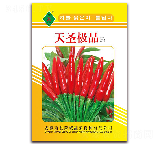 ��ʥ�OƷ-���콷�N��-ʒ�\