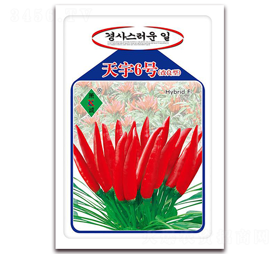 ����6̖(h��o)-���콷�N��-ʒ�\