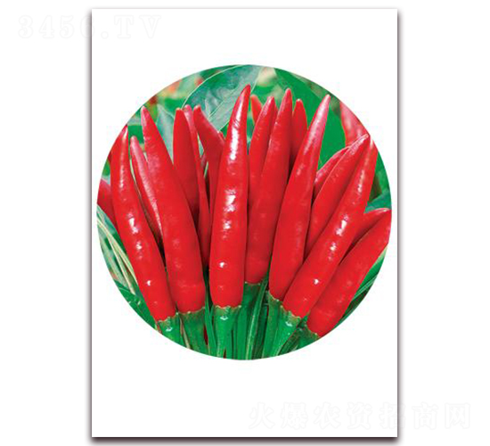 ���Ʒ-���콷�N��-ʒ�\(ch��ng)