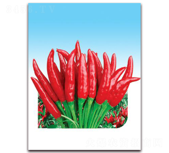 ������̖(h��o)-���콷�N��-ʒ�\(ch��ng)