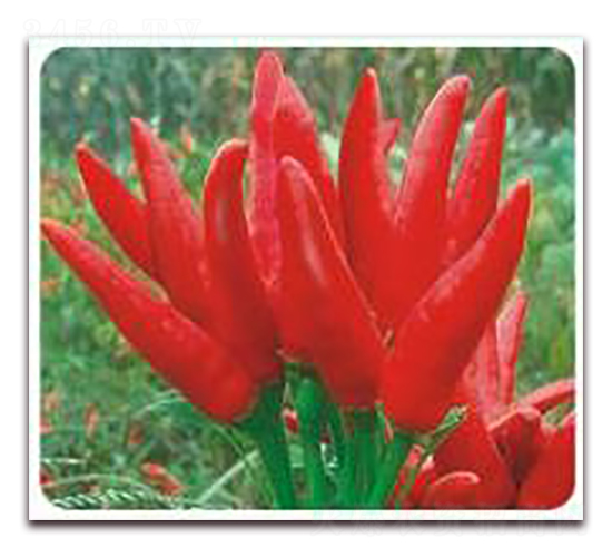 �n������-���콷�N��-ʒ�\