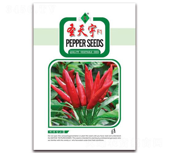 ʥ����-���콷�N��-ʒ�\