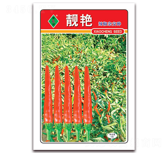 �n�G-���콷�N��-ʒ�\