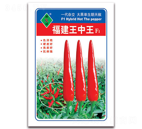 ����������-���콷�N��-ʒ�\(ch��ng)