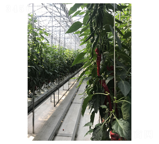 Ѹ�Y37-94-�����N��-��V�r(n��ng)�I(y��)