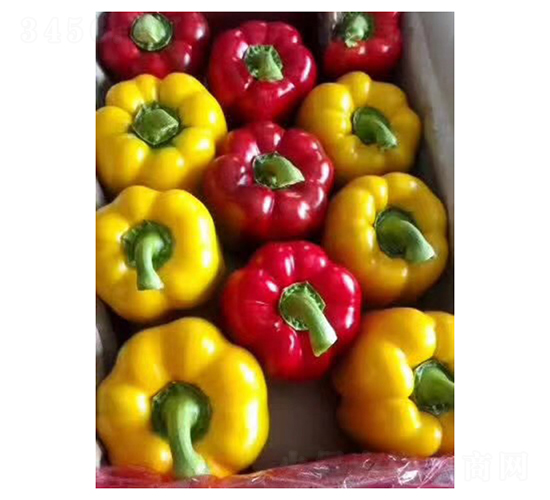 �����Z-�����N��-��V�r(n��ng)�I(y��)