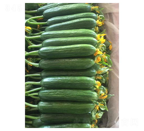 �S�{˹-ˮ���S�ϷN��-��V�r(n��ng)�I(y��)