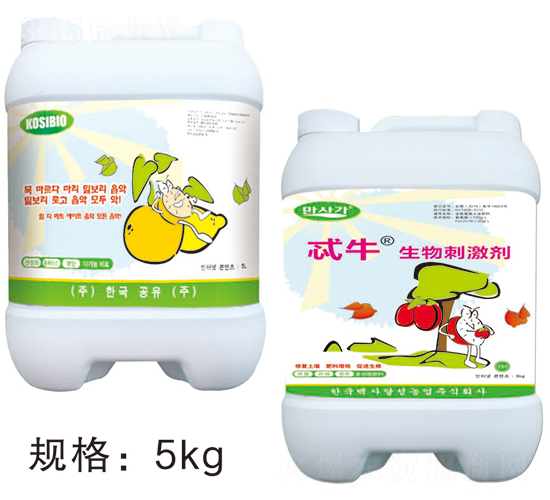 �ʿ���������̼���-�A��