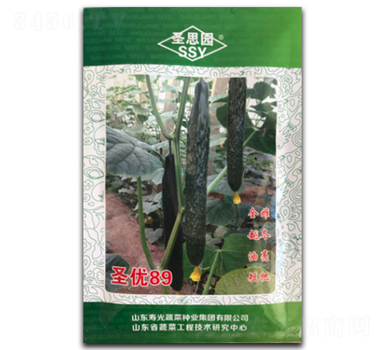 ʥ��(y��u)89-�S�ϷN��-��V�r(n��ng)�I(y��)