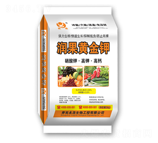 �����S���-��������