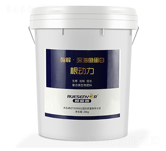 ø����~����-������-����������