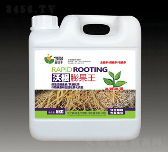 �ָ������-�����S