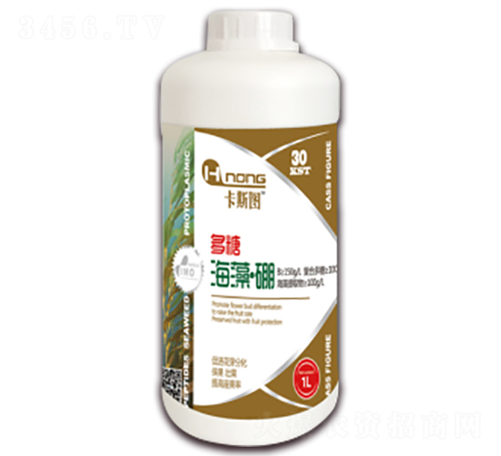 1L���Ǻ��塤��-���r(n��ng)�r(n��ng)�I(y��)