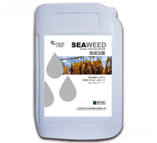 ������-���r(n��ng)�r(n��ng)�I(y��)