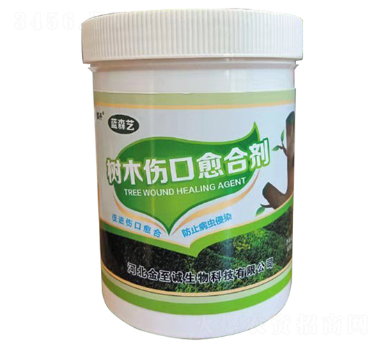 ��ľ�������τ�-�{ɭˇ-�����\