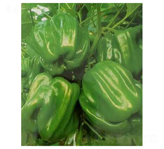 �������N��-��ϲ�r(n��ng)�I(y��)