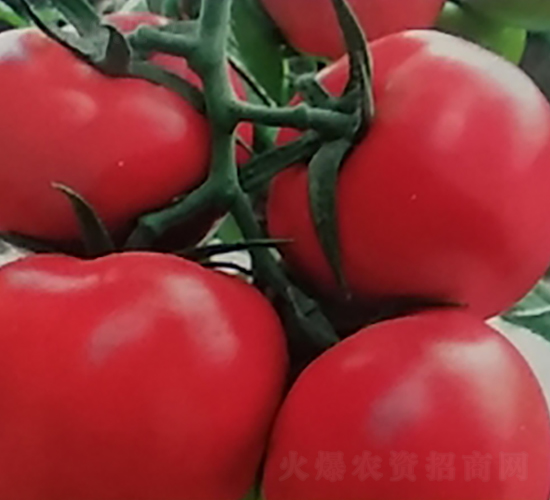 ��t�R�_��-���ѷN��-��ϲ�r(n��ng)�I(y��)