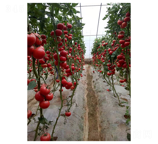 �W����-���ѷN��-��ϲ�r(n��ng)�I(y��)