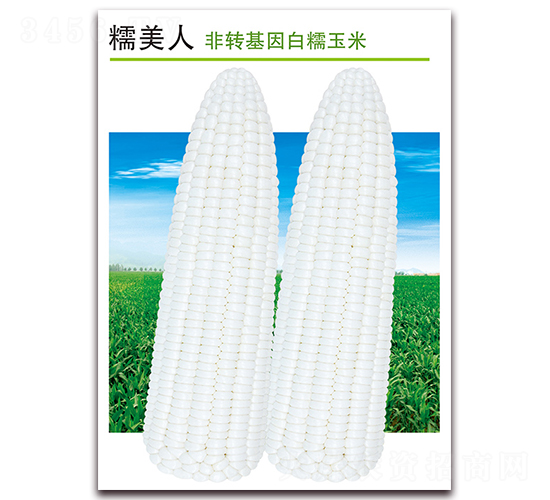 Ŵ����-��Ŵ���׷N��-������