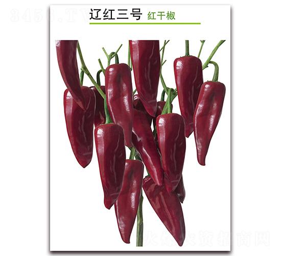 �|�t��̖-�t�ɽ��N��-������