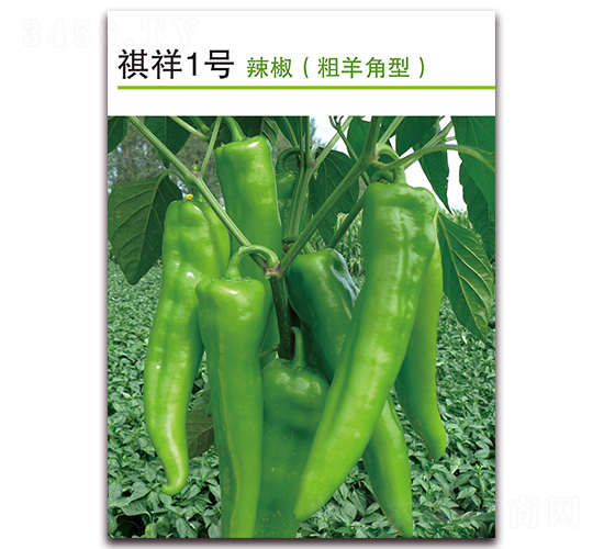 ����1̖-�����N��-������