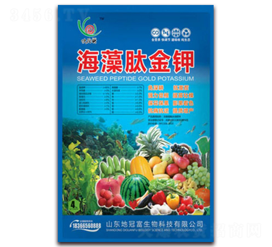 �����Ľ��-�عڸ�