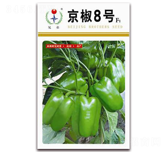 ����8̖(h��o)-�����N��-�ֵ�