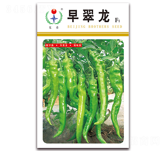 �����-�����N��-�ֵ�