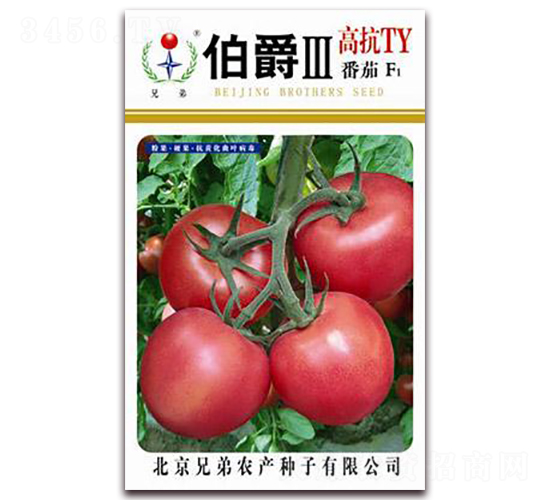 ������-���ѷN��-�ֵ�