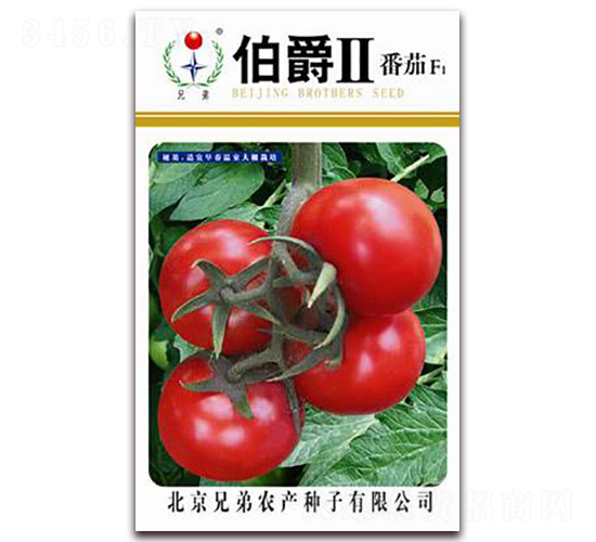 ������-���ѷN��-�ֵ�