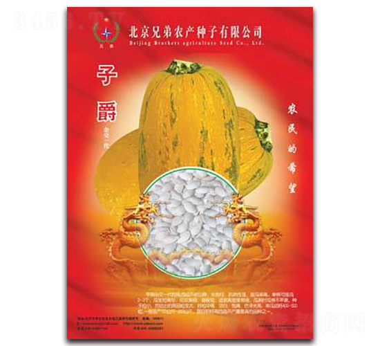 �Ӿ�-���������J�N��-�ֵ�