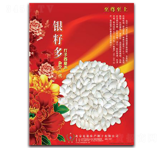 �y�Ѷ�-���������J�N��-�ֵ�