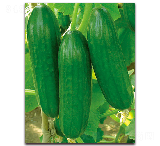 �M��709-�S�ϷN��-�M��N��