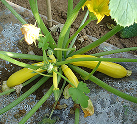 �S�������J-�����J�N��-�M��N��