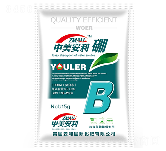 ���ϑB(t��i)���-��������-�֠��ʘI(y��)