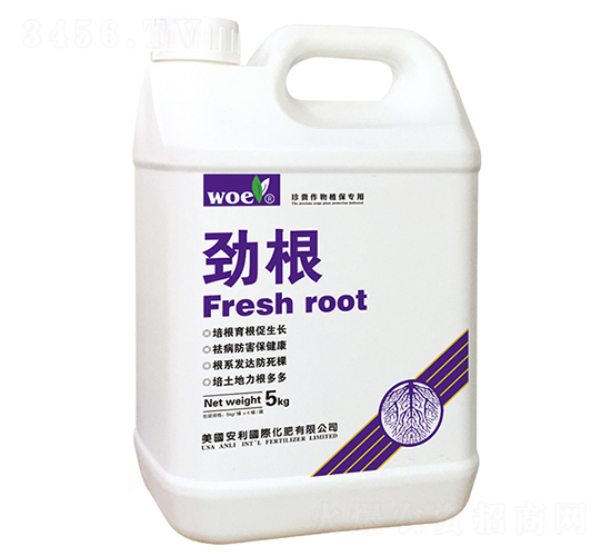 �Ÿ�-�֠��ʘI(y��)