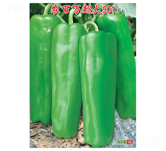 �r(n��ng)���f(w��n)����901-�ݽ��N��-�r(n��ng)���f(w��n)