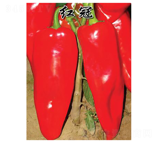 �t��-�ݽ��N��-�r(n��ng)���f