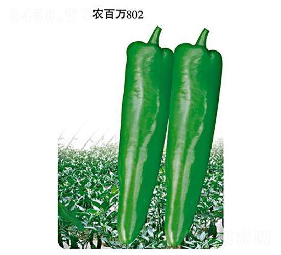 �r(n��ng)���f802-�ݽ��N��-�r(n��ng)���f