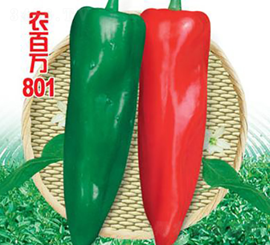 �r(n��ng)���f801-�ݽ��N��-�r(n��ng)���f