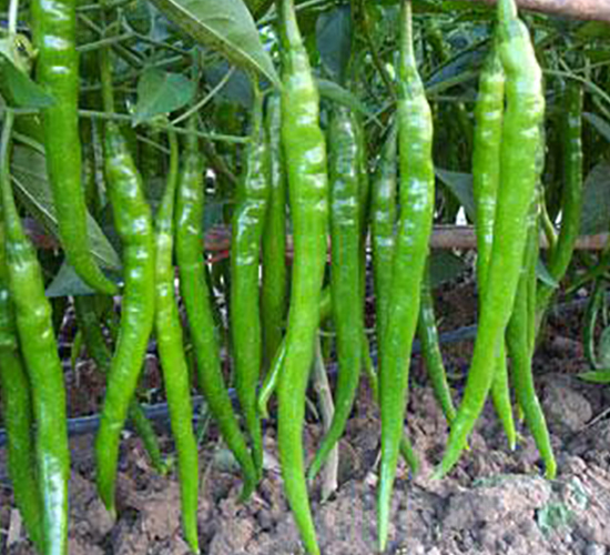 ������9̖(h��o)-�����N��-�r(n��ng)���f(w��n)