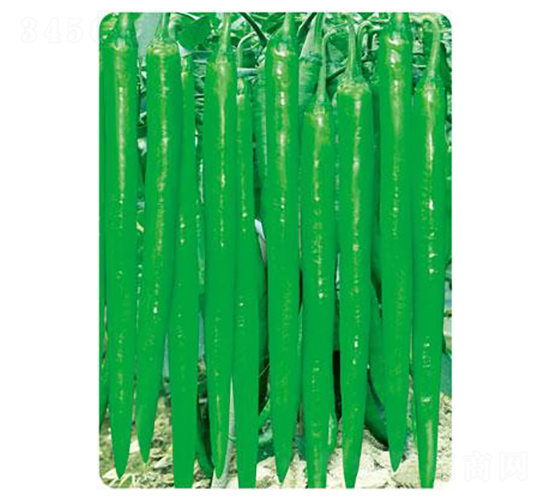 �A������-�����N��-�r(n��ng)���f